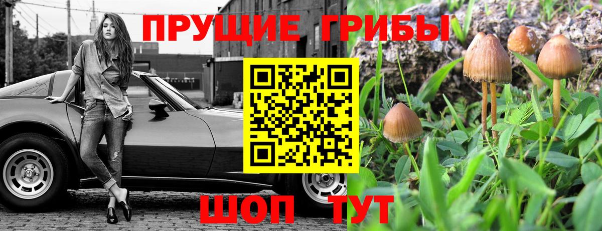 Ессентуки  Псилоцибиновые грибы ЛСД  Вход с VPN 