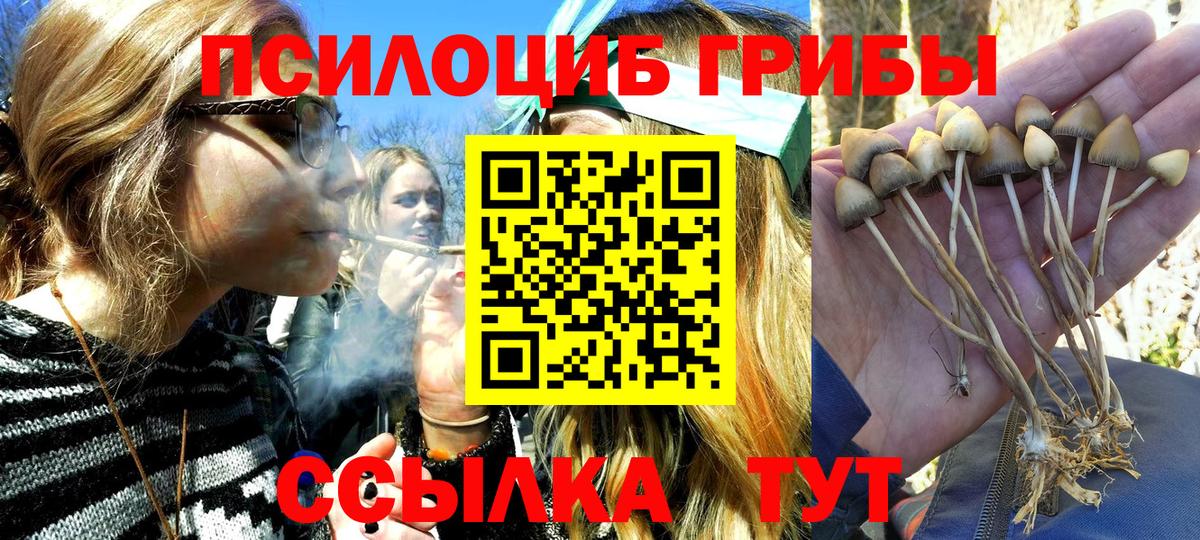 Галлюциногенные грибы мухоморы Ессентуки